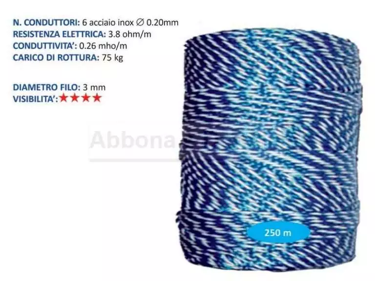 Scopri di più sull'articolo Filo conduttore Rec