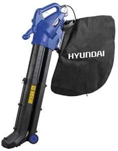 Scopri di più sull'articolo Soffiatore aspiratore Hyundai 35810